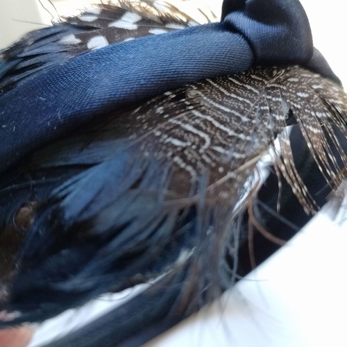 Blue women's headband with feathers used