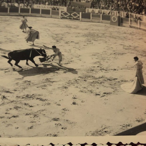Bullfighting vintage photo set of 12 pieces 10x7.5 cm