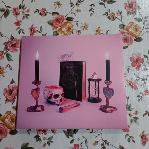 Puppy The Goat debut album CD like new, rock