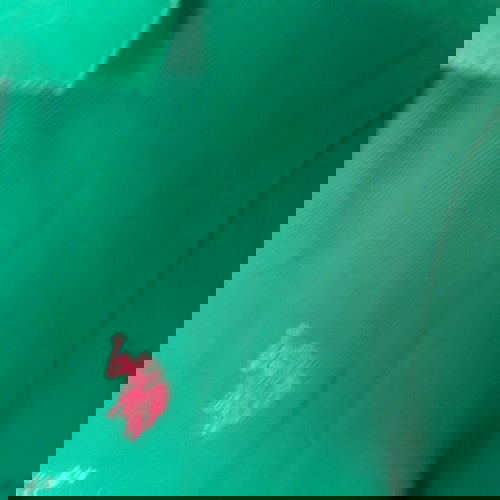 γυναικείο μπλουζάκι polo small