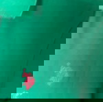 γυναικείο μπλουζάκι polo small