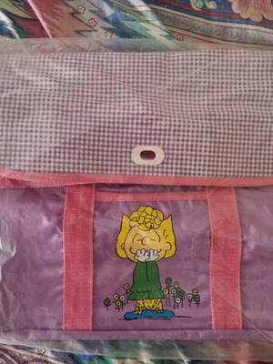 Vintage Peanuts School Bag with Sally Brown and Pink Checkered Cover