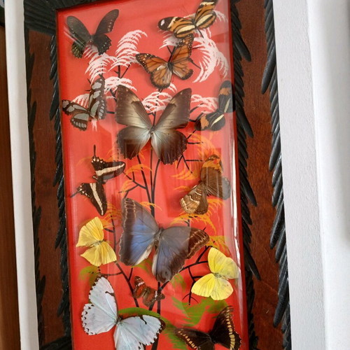 Vintage Brazilian framed butterflies like new