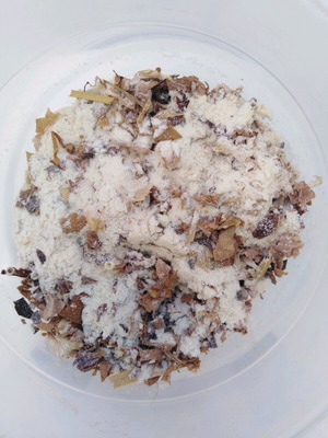 Handmade incense with herbs and frankincense 30g