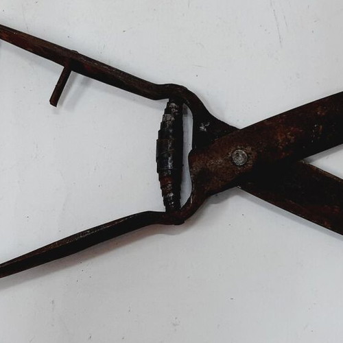 Antique hand sheep and goat shears used, metal construction