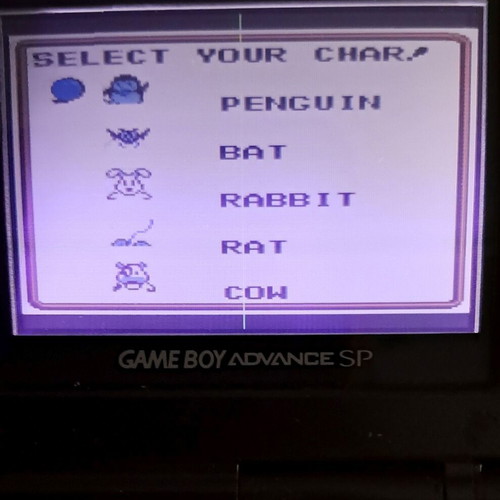 King of the Zoo Game Boy game used, action arcade