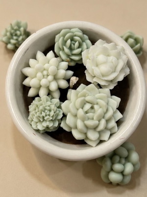 Succulent Garden Candle in Handmade Ceramic Pot like new