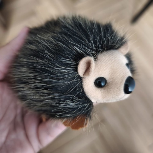 Hedgehog plush toy used
