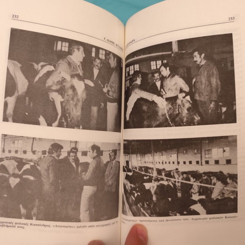 Giorgos Lianis - Fylakes book