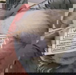  Παιδικό μποτάκι για χιόνια no. 23