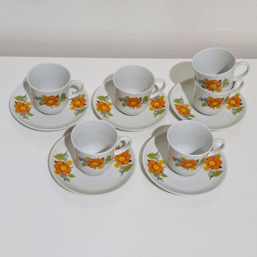 Ionia Cup and Saucer Set 11 pcs like new