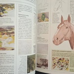 Drawing Guide teaching method new, Ntountoumi editions