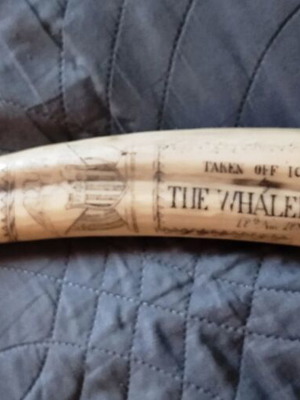 Sea horse tusk replica made of synthetic resin like new