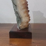 Citrine stone precious new