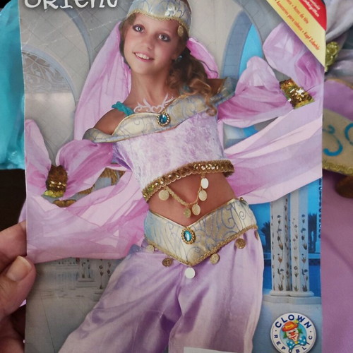 Clown Republic Oriental Queen of the East Carnival Costume No 10 like new