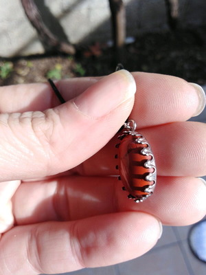 Pendant with chestnut red jasper and steel cabochon new