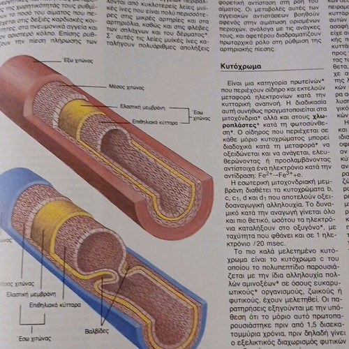 General Biology Educational Encyclopedia Volume 13 like new