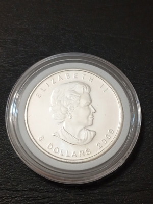 Νόμισμα Maple Leaf 2009 1oz καθαρό ασήμι
