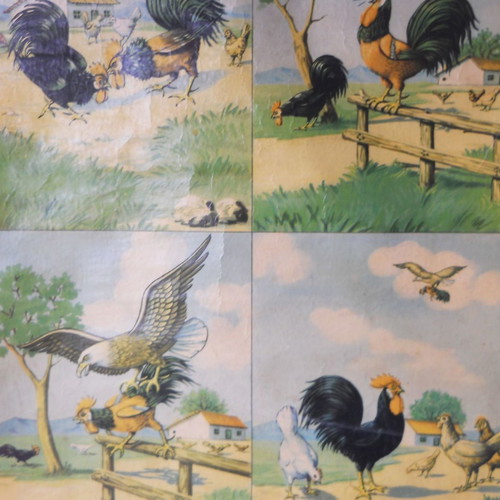Old school map used, The two roosters and the eagle