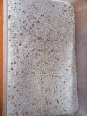 Sand like new for hamsters