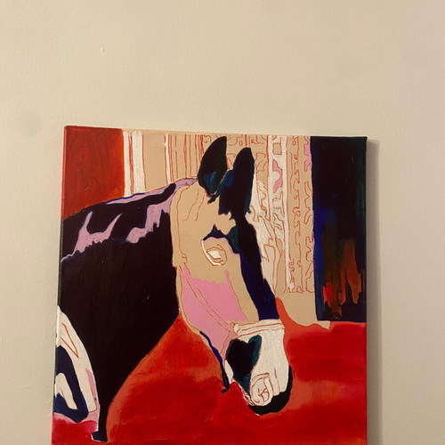 Handmade acrylic painting horse used 40x40 cm
