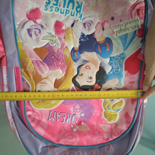 GIM Disney Princess school anatomical backpack used