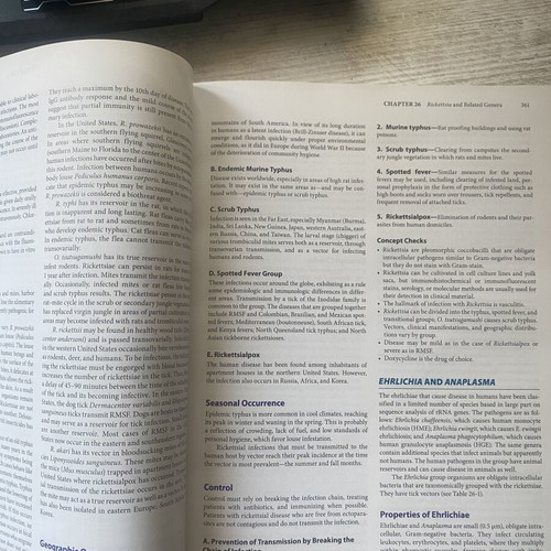 Jawetz Melnick & Adelberg's Medical Microbiology 28th Edition used