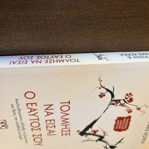 Tolmise Na Eisai O Eaftos Sou self-improvement book used, Greek