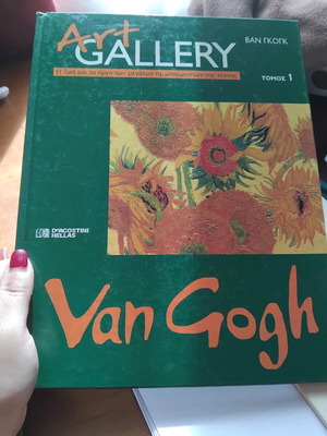 Art Gallery Van Gogh like new