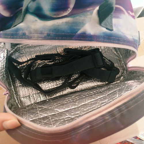 Lunch bag used, good condition