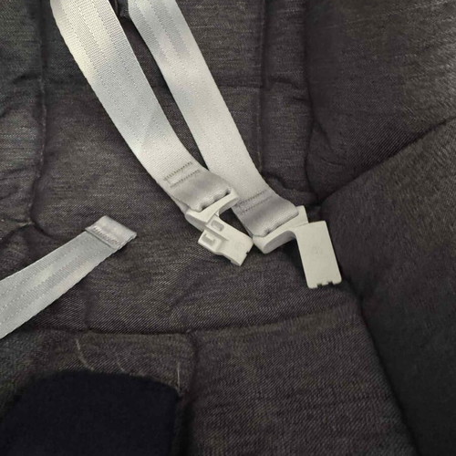 Inglesina Trilogy baby car seat used