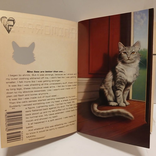 Animorphs The Visitor book by K.A. Applegate