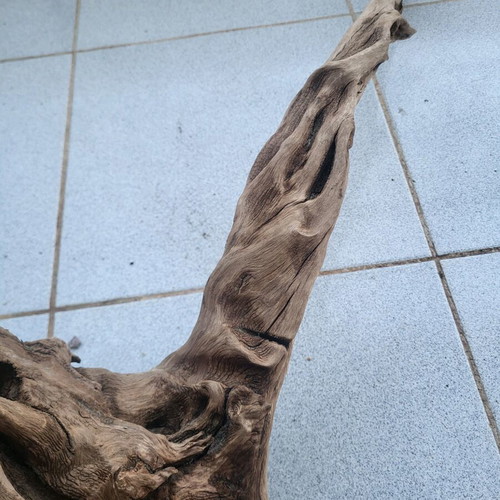 Large Amazon aquarium root used