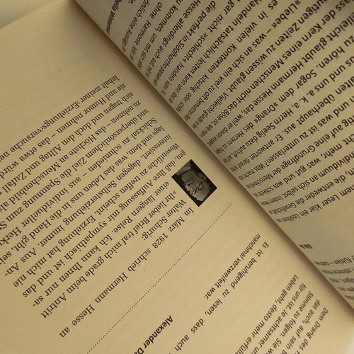 Hermann Hesse antwortet auf Facebook paperback like new, German literature