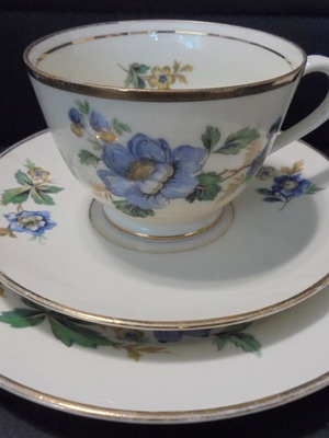 Napoli Dekoreret I Danmark porcelain set used, cup with two saucers