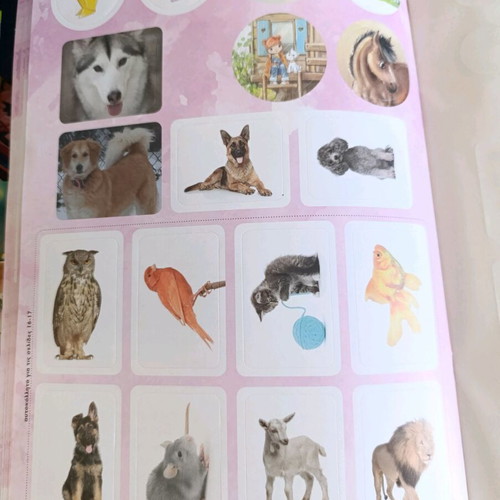 Set of 3 books Nefeli the animal doctor new, educational activities