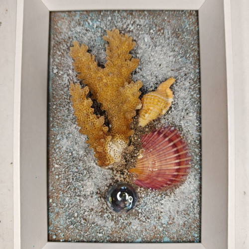 3D Mixed Media Artwork by I. Cabri with Real Coral and Seashells