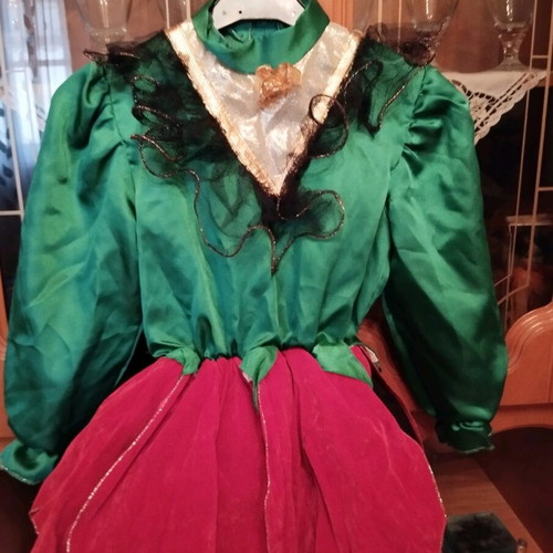 Carnival costume Elf like new