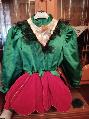 Carnival costume Elf like new