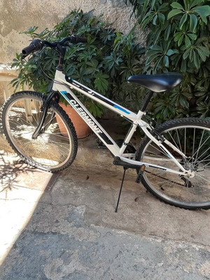 Mountain bike, white, disc brakes, gears