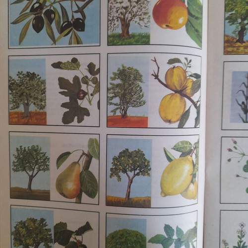 Student images like new, three issues from the 1970s
