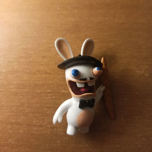 Rabbit Invasion new