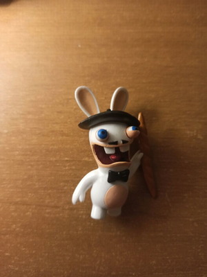 Rabbit Invasion new