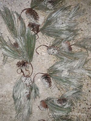 Christmas branches like new, pack of 8, snowy with pine cones