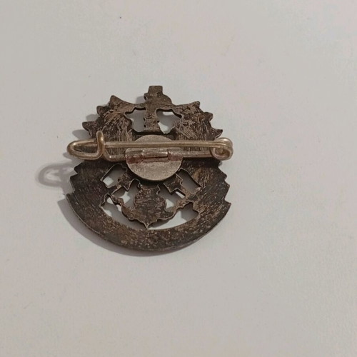 Pin with Austria national emblem like new