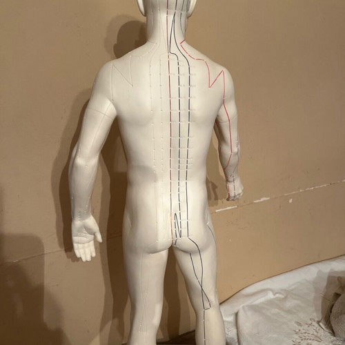 Acupuncture model like new, height 72 centimeters