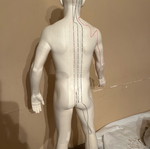 Acupuncture model like new, height 72 centimeters