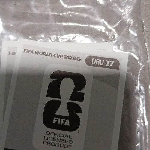 Panini FIFA World Cup 2026 Sticker like new