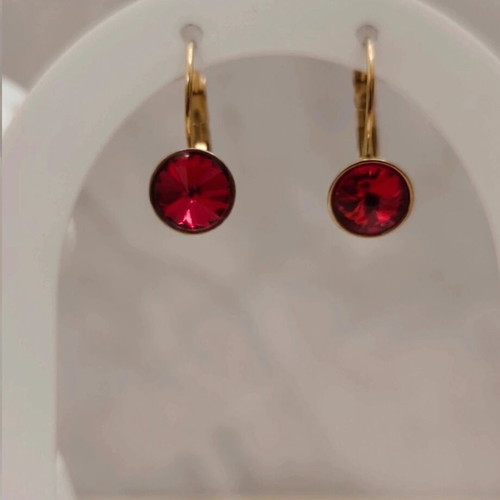 Steel earrings with red diamond new