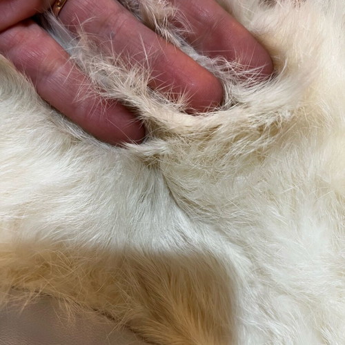 Leather jacket like new, white with natural fur
